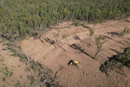 image of Ask your MP what they are doing to stop land clearing